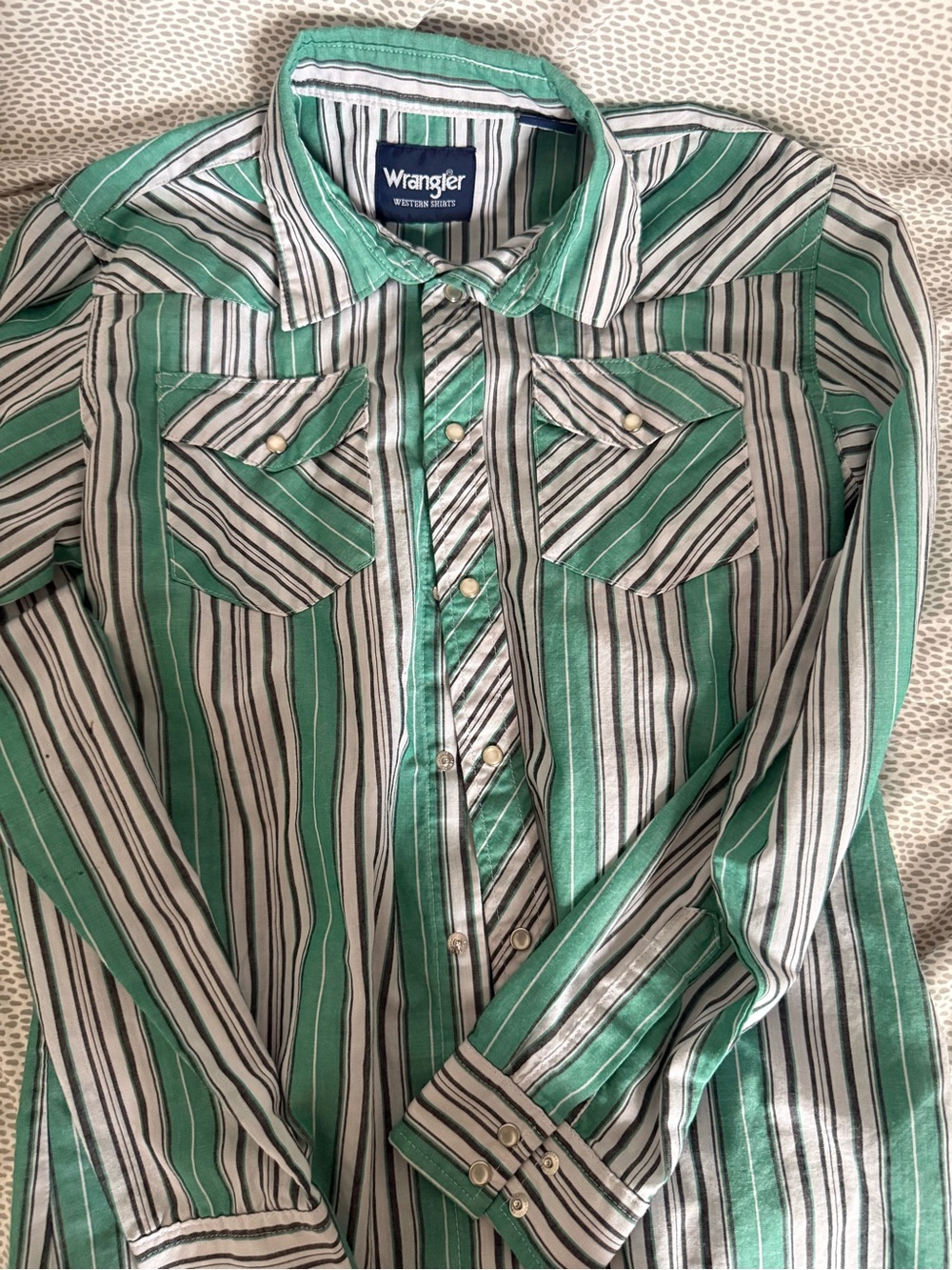 Wrangler Boys Green Striped Western Shirt